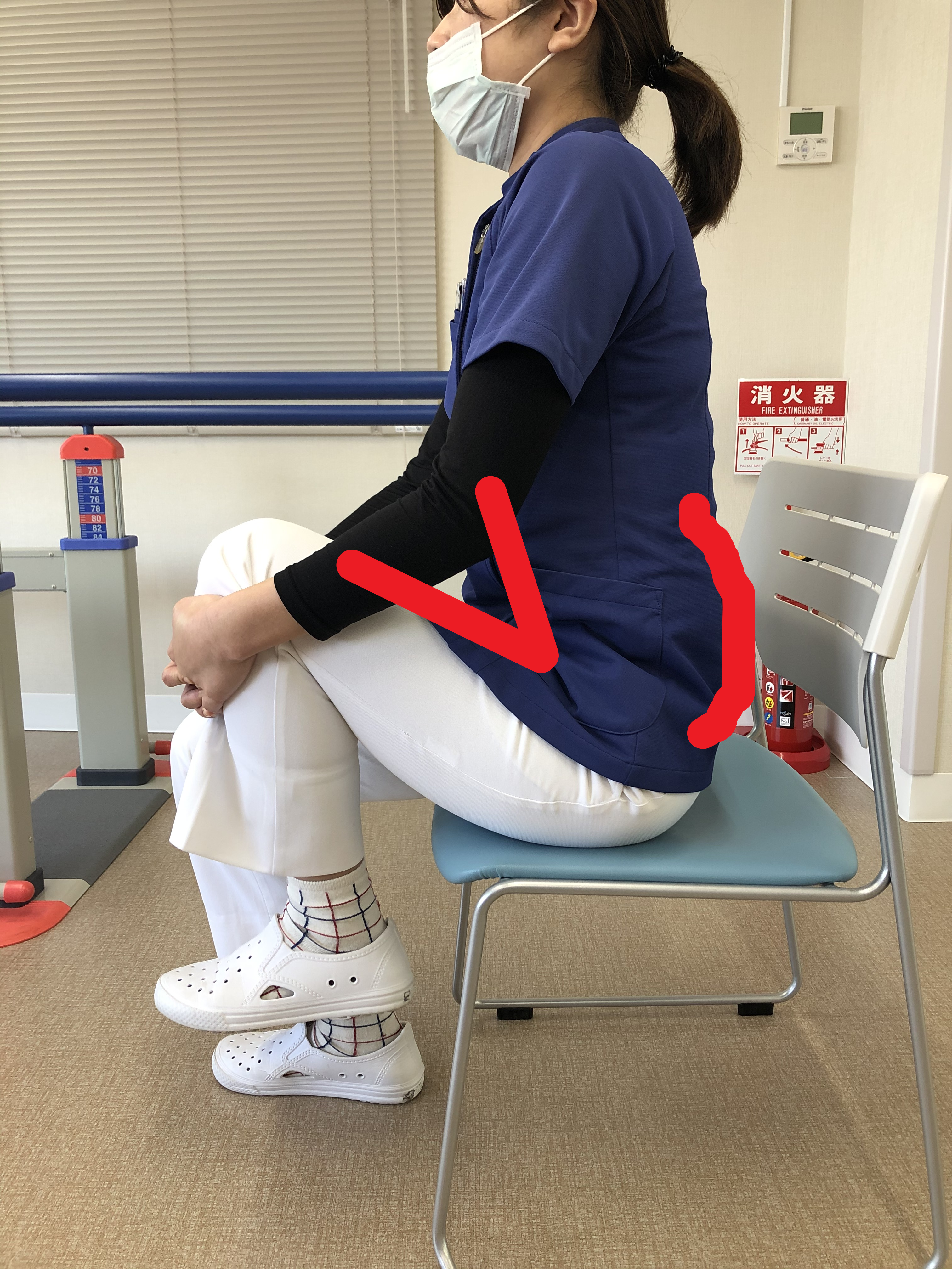 股関節と骨盤と腰椎の関係性 股関節の痛みなら東京ヒップジョイントクリニック